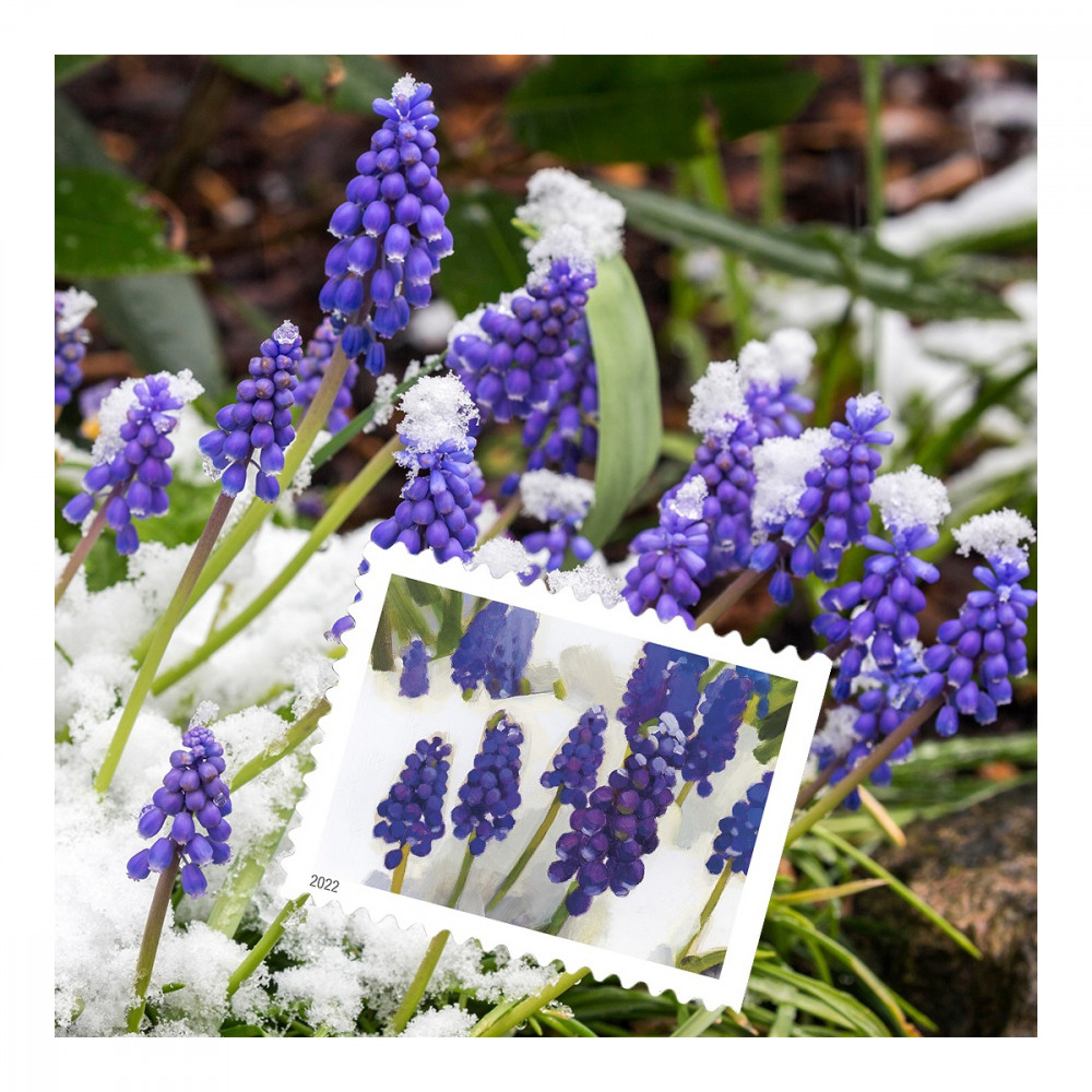2022 USPS Snowy Garden Beauty Forever Postage Stamps